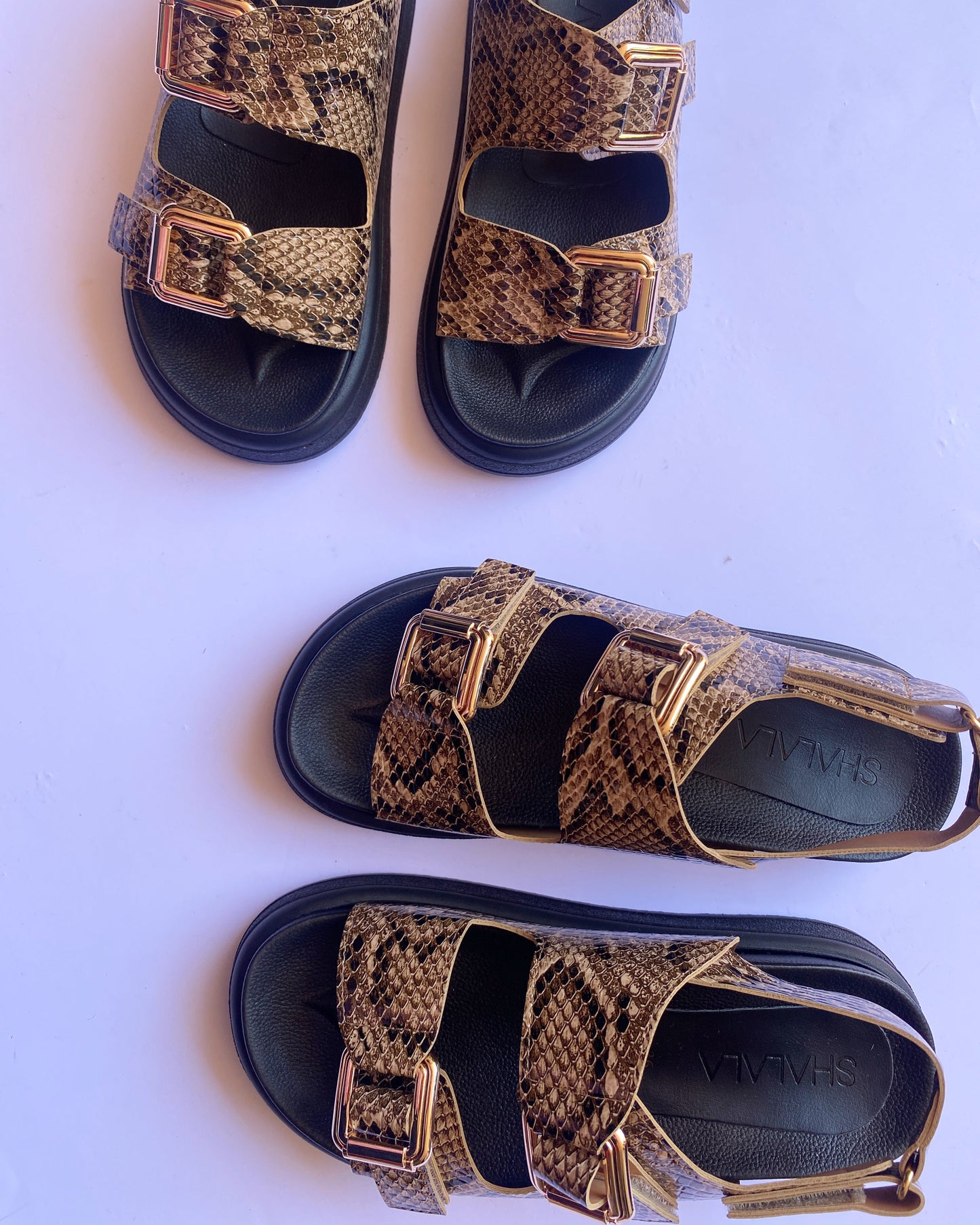 DAD SANDALS ANIMAL PRINT