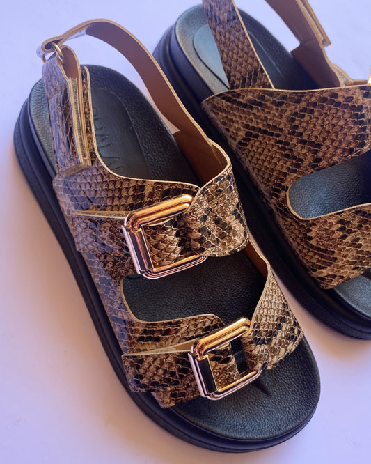 DAD SANDALS ANIMAL PRINT